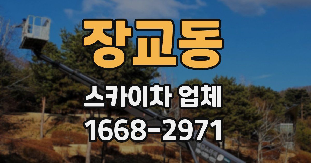 장교동 스카이차 업체