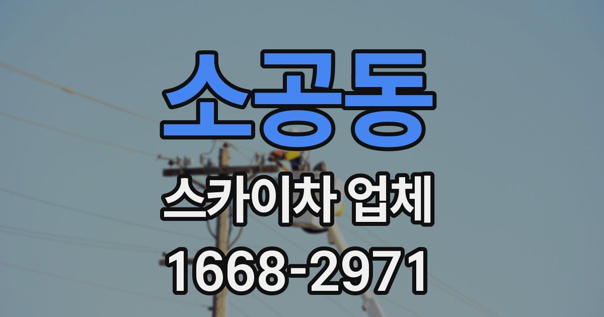 소공동 스카이차 업체