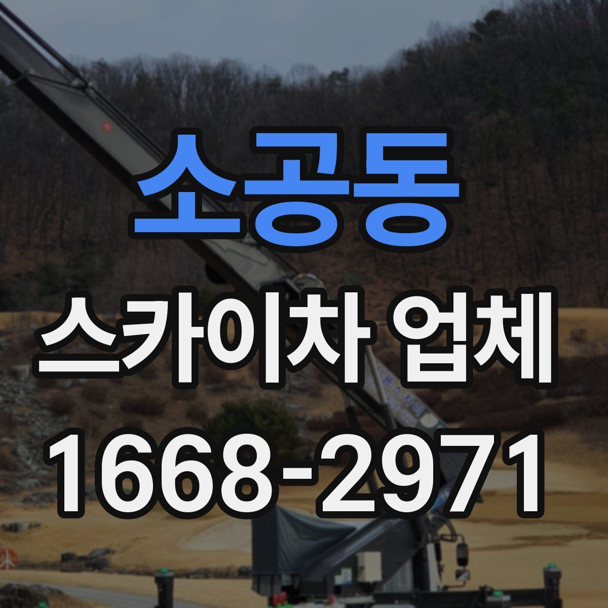 소공동 스카이차 업체