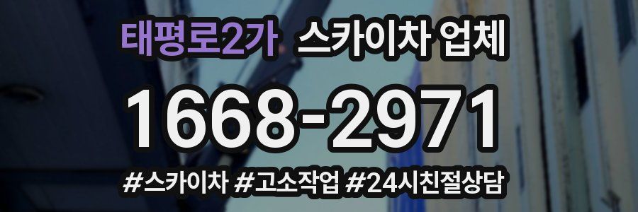 태평로2가 스카이차 업체