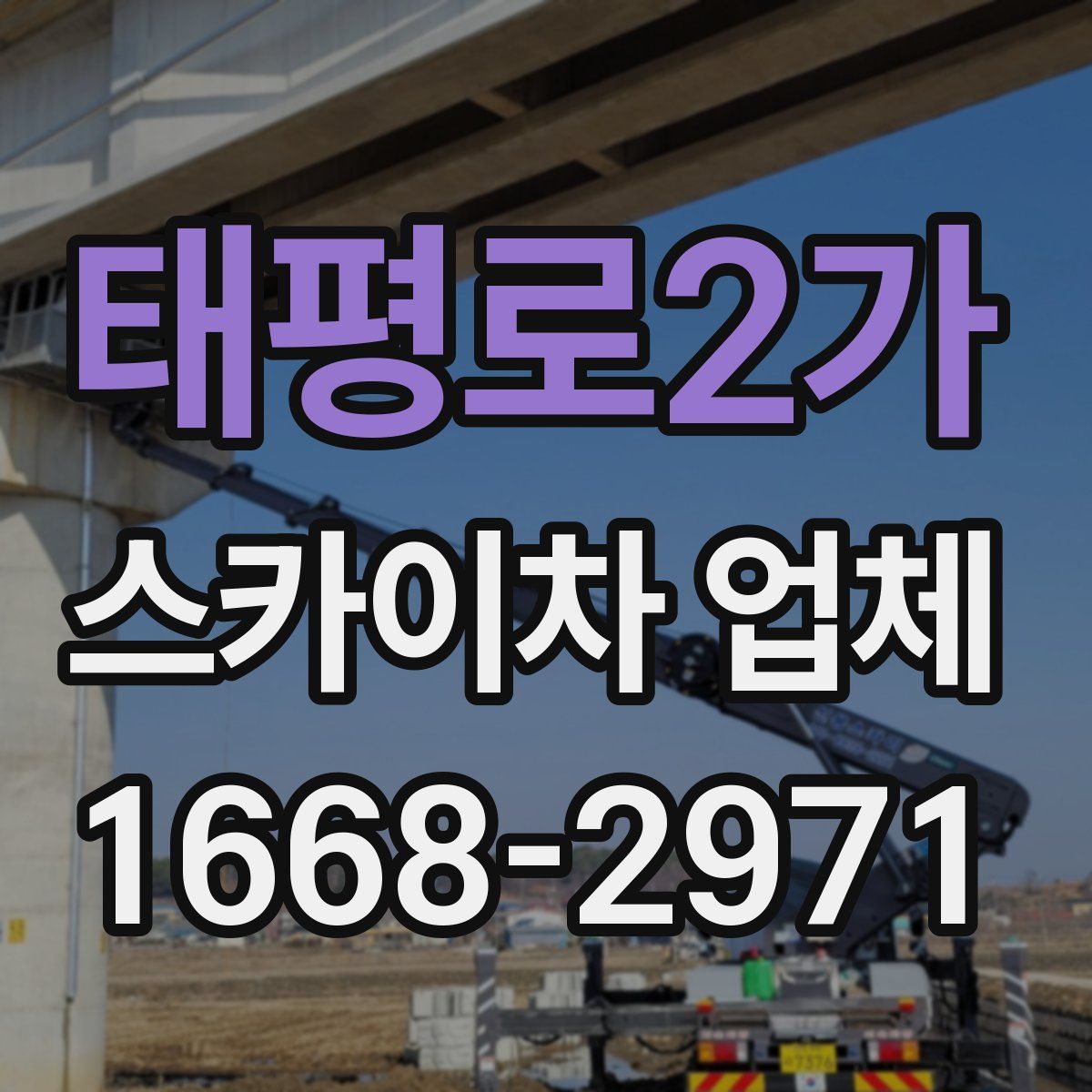 태평로2가 스카이차 업체