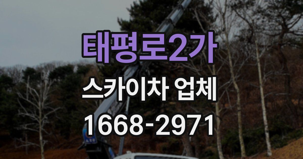 태평로2가 스카이차 업체