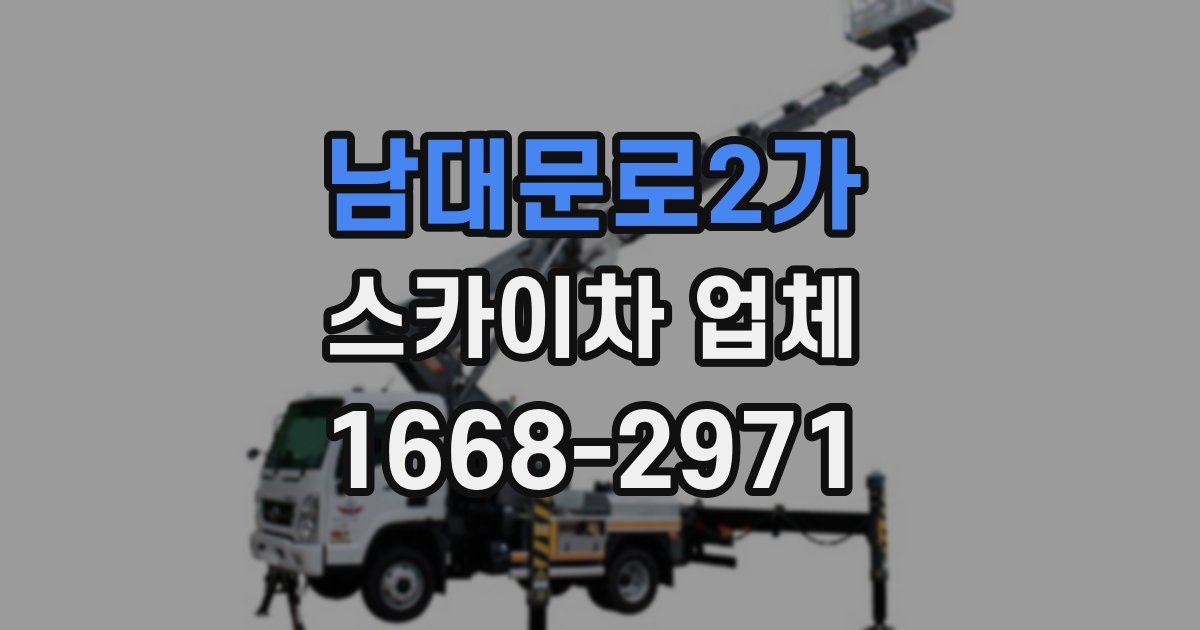남대문로2가 스카이차 업체