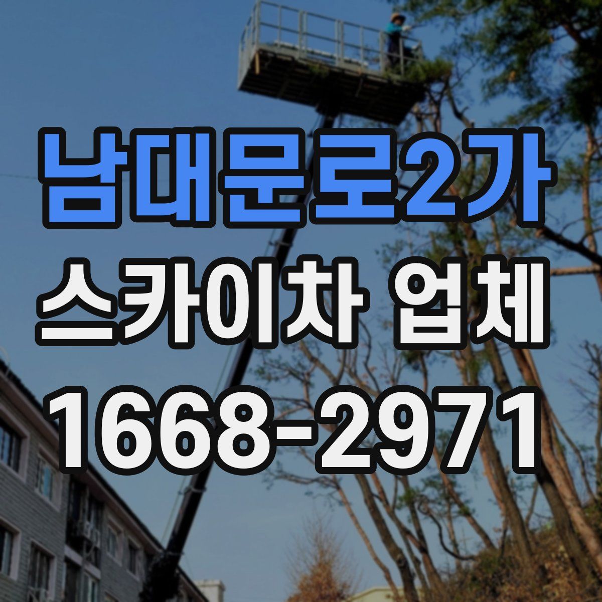 남대문로2가 스카이차 업체