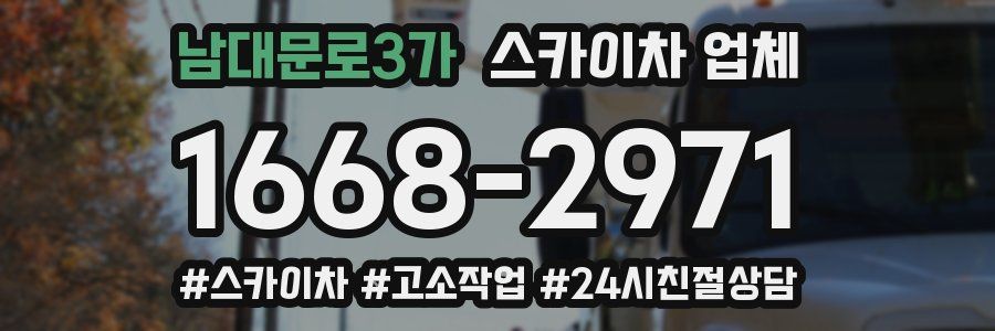 남대문로3가 스카이차 업체