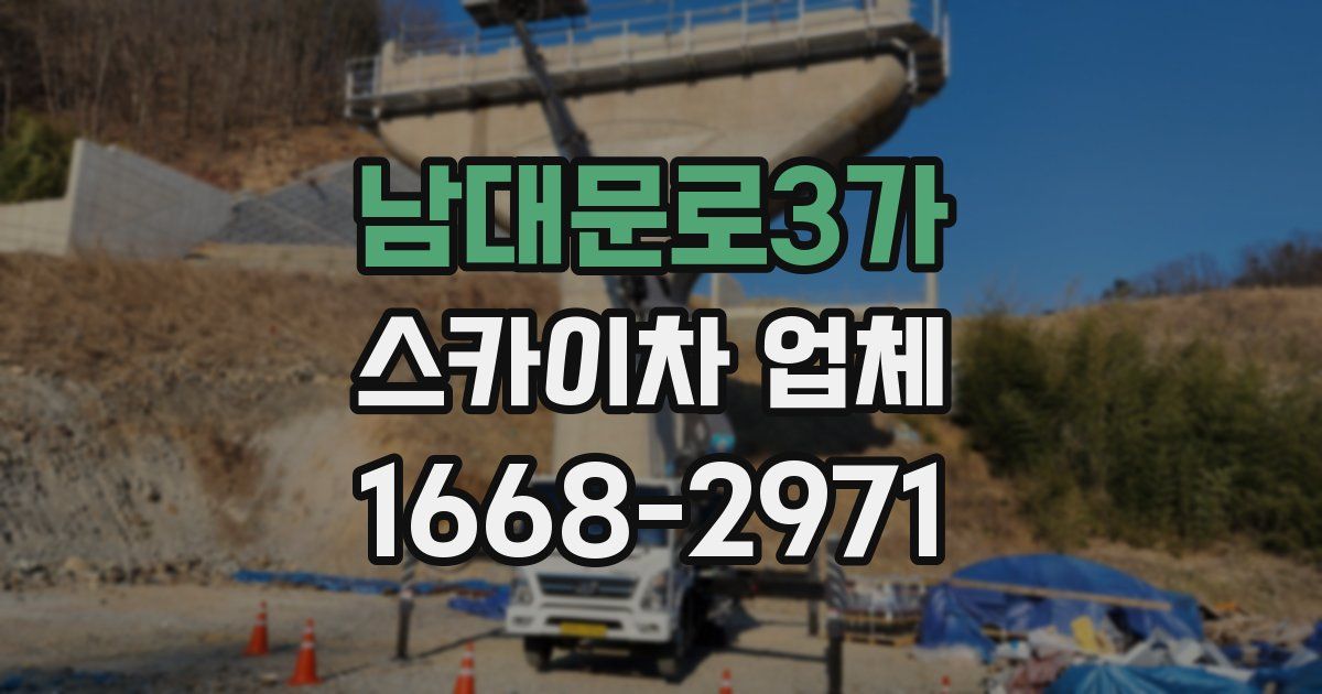 남대문로3가 스카이차 업체