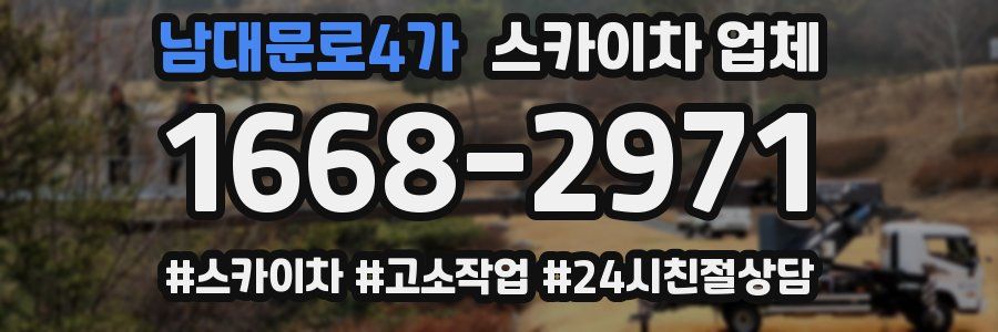 남대문로4가 스카이차 업체
