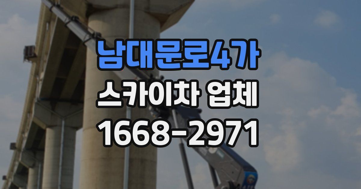 남대문로4가 스카이차 업체