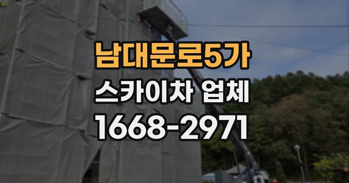 남대문로5가 스카이차 업체