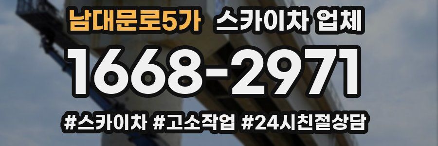 남대문로5가 스카이차 업체