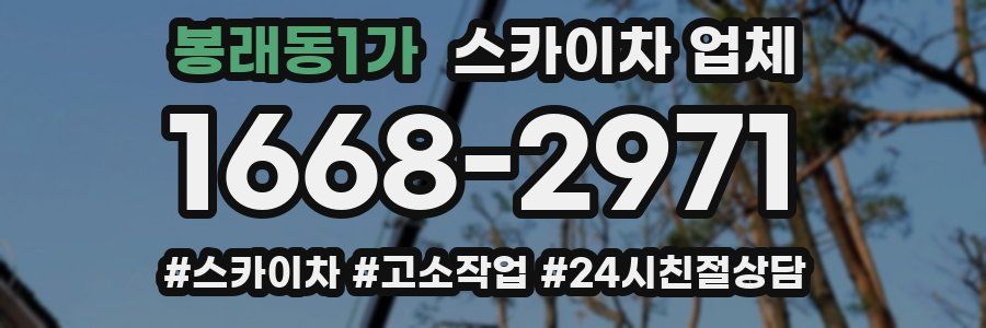 봉래동1가 스카이차 업체