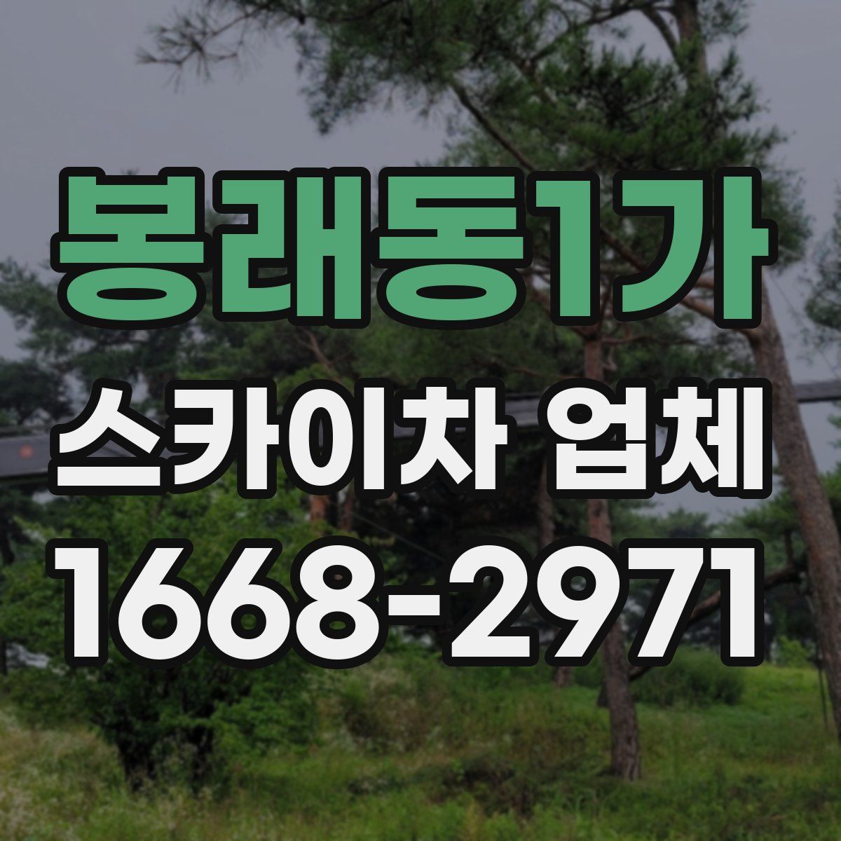 봉래동1가 스카이차 업체