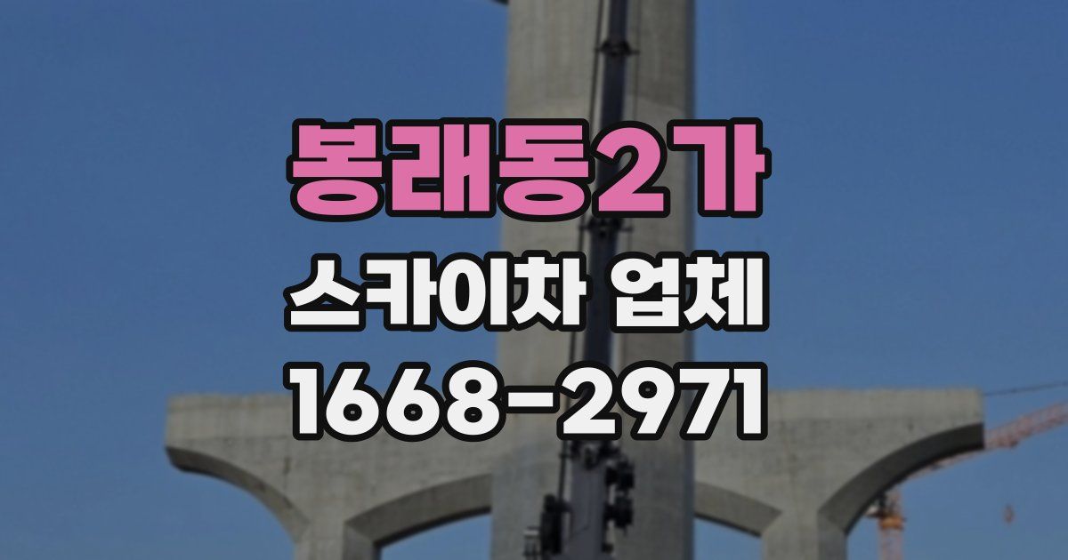 봉래동2가 스카이차 업체
