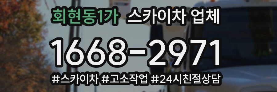 회현동1가 스카이차 업체
