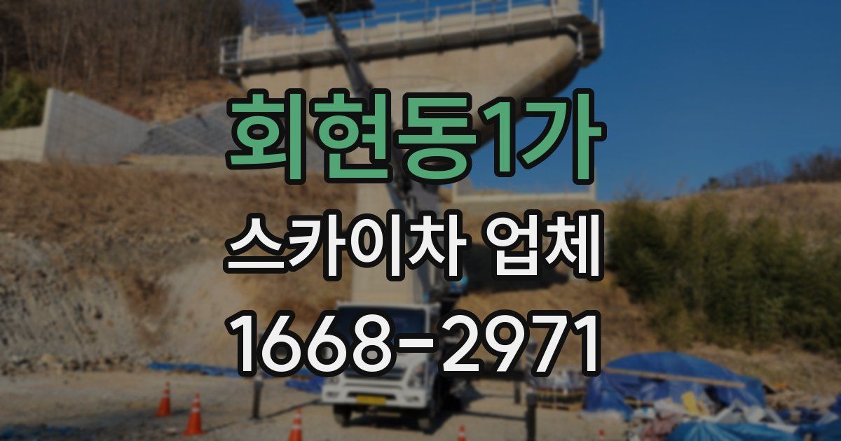 회현동1가 스카이차 업체