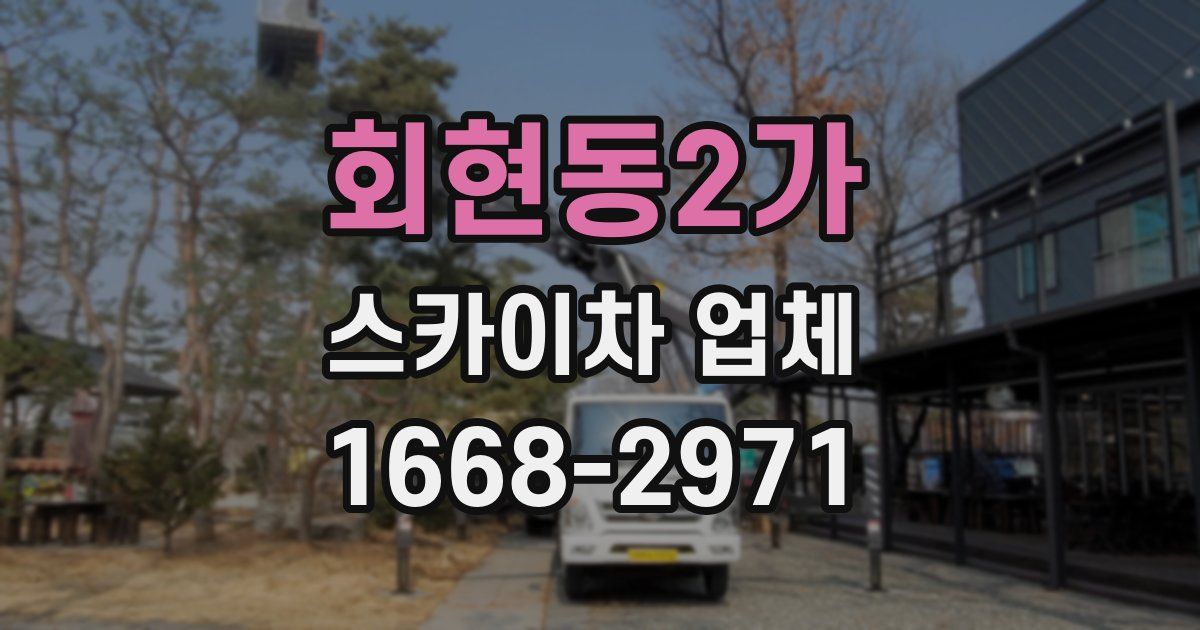 회현동2가 스카이차 업체