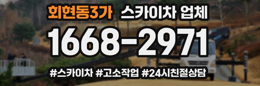 회현동3가 스카이차 업체