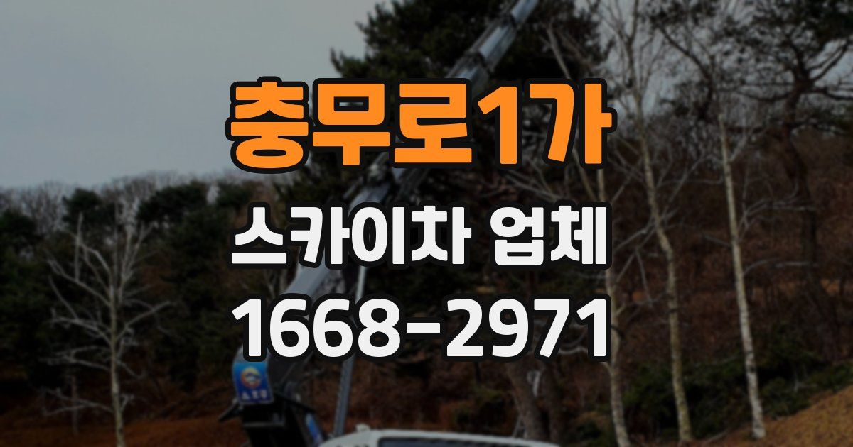 충무로1가 스카이차 업체