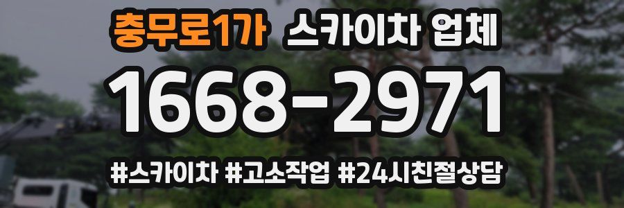 충무로1가 스카이차 업체