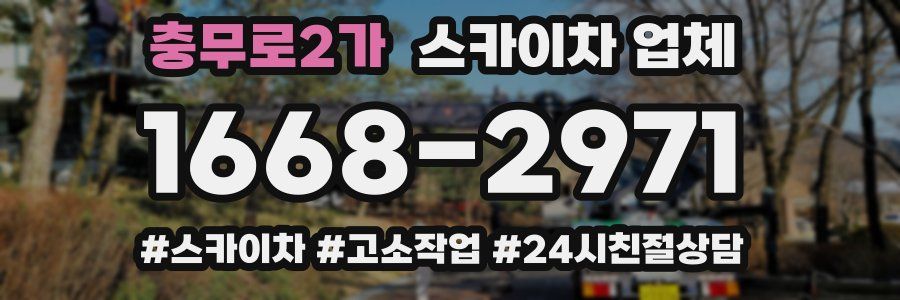 충무로2가 스카이차 업체
