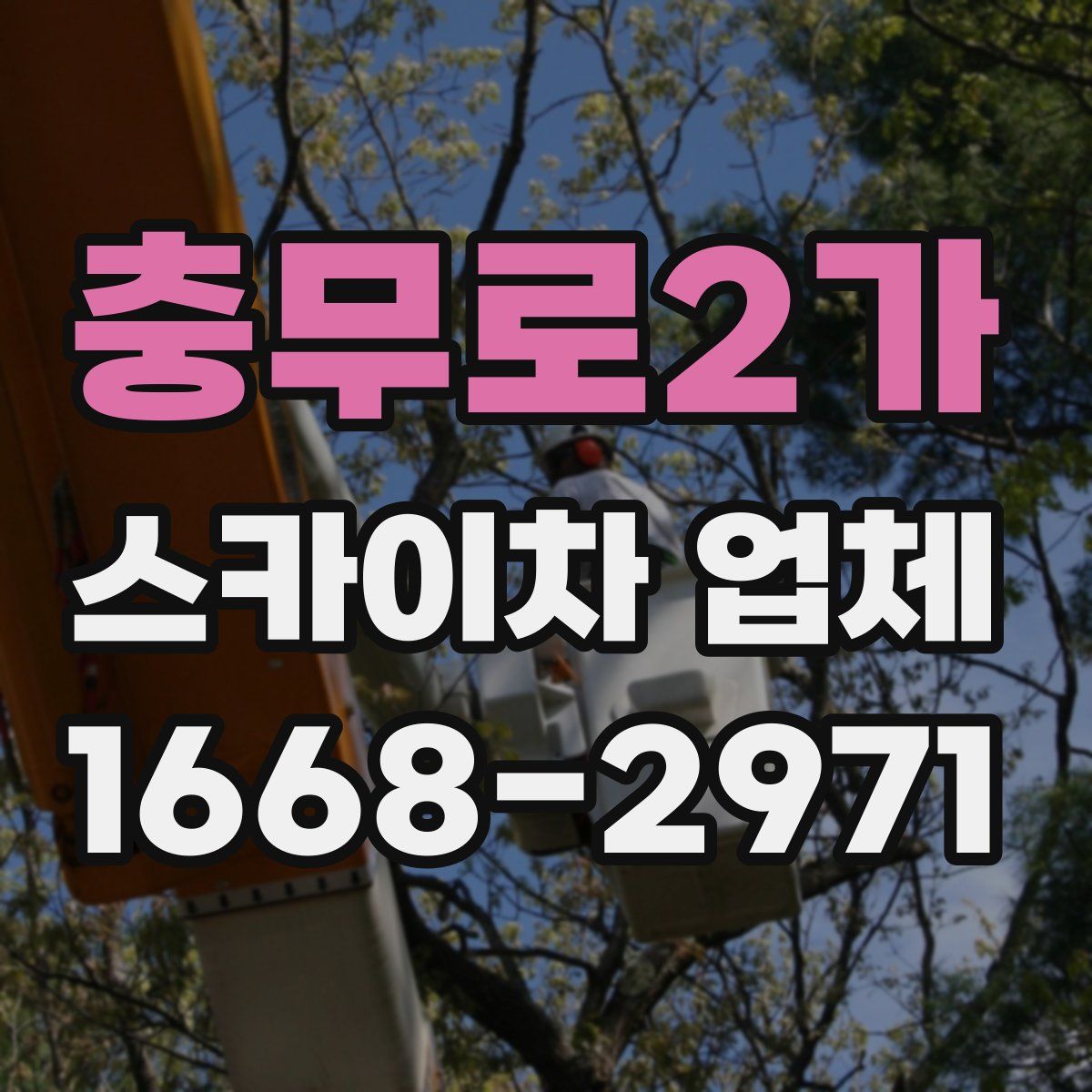 충무로2가 스카이차 업체