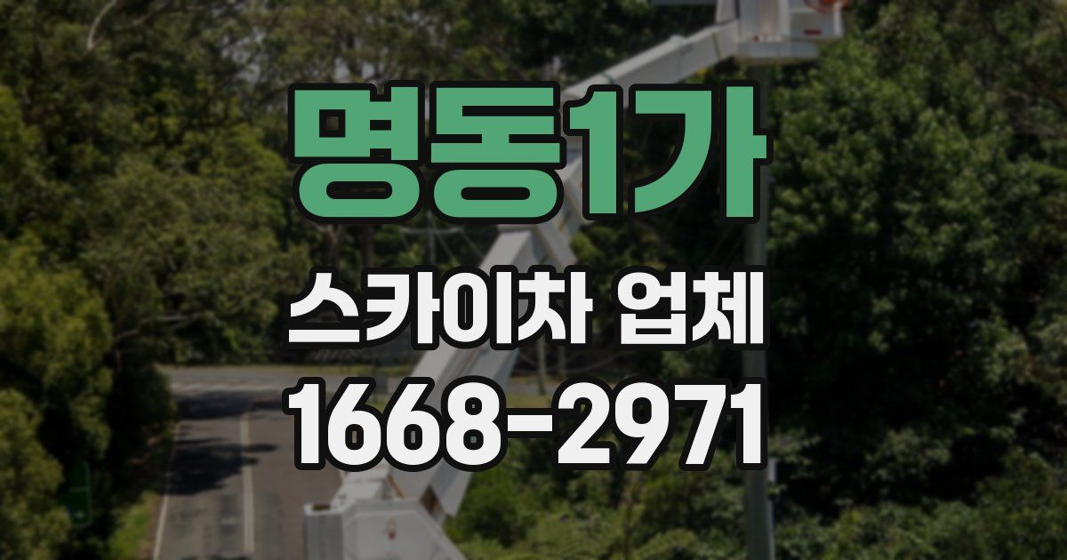 명동1가 스카이차 업체