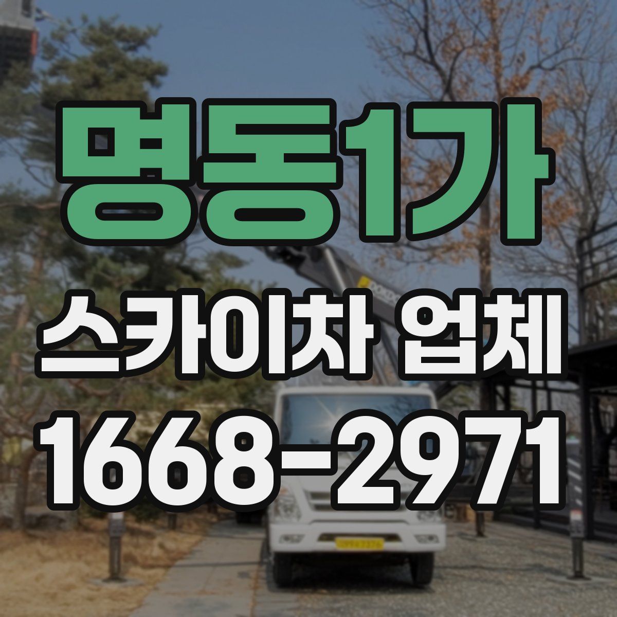 명동1가 스카이차 업체