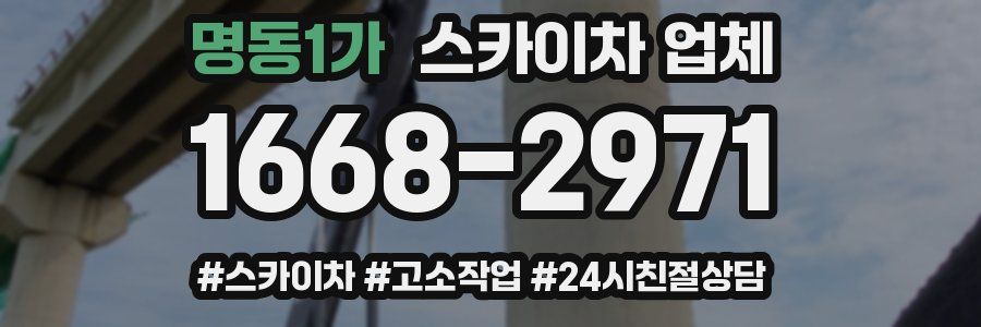 명동1가 스카이차 업체