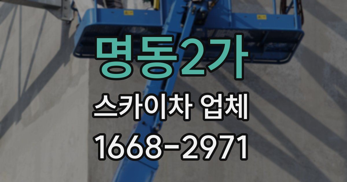 명동2가 스카이차 업체