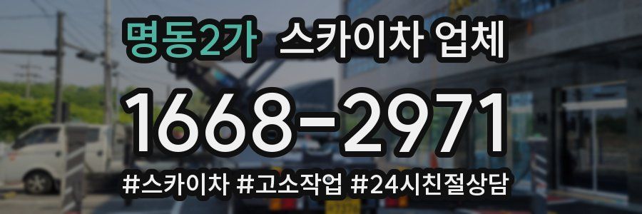 명동2가 스카이차 업체