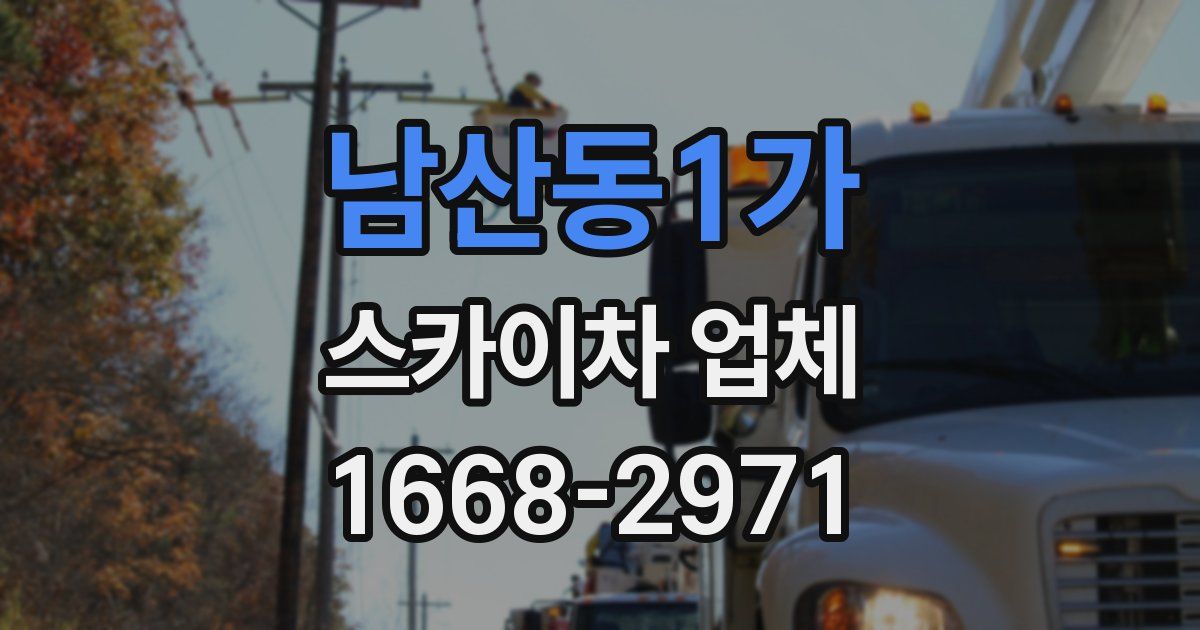 남산동1가 스카이차 업체