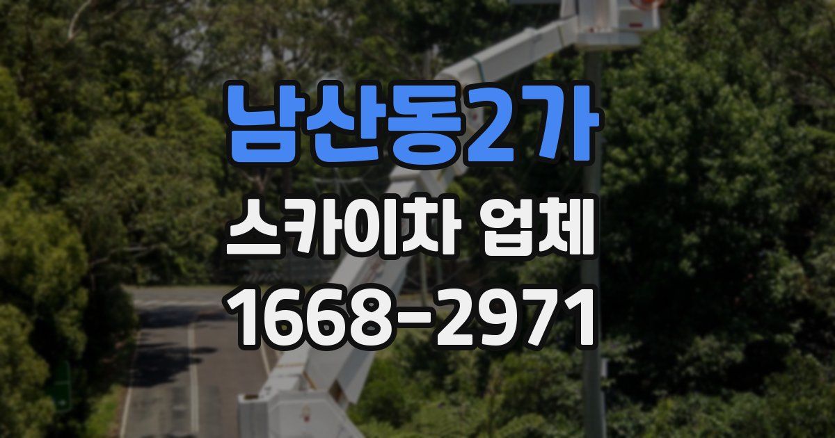 남산동2가 스카이차 업체