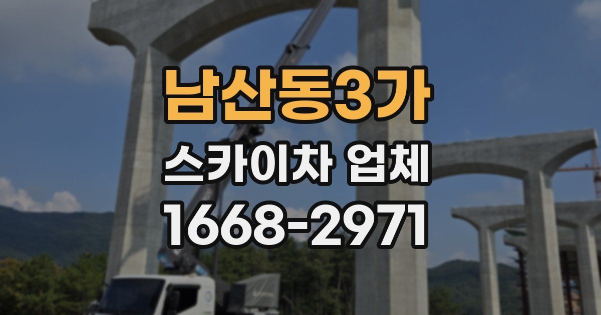 남산동3가 스카이차 업체