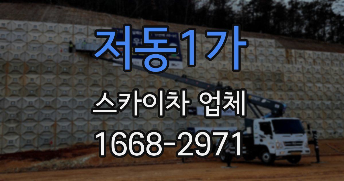 저동1가 스카이차 업체