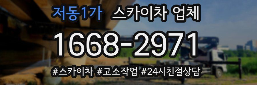 저동1가 스카이차 업체