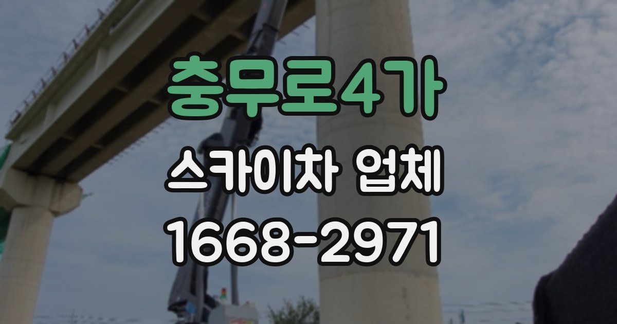 충무로4가 스카이차 업체