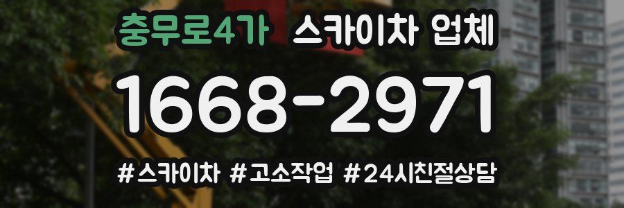 충무로4가 스카이차 업체