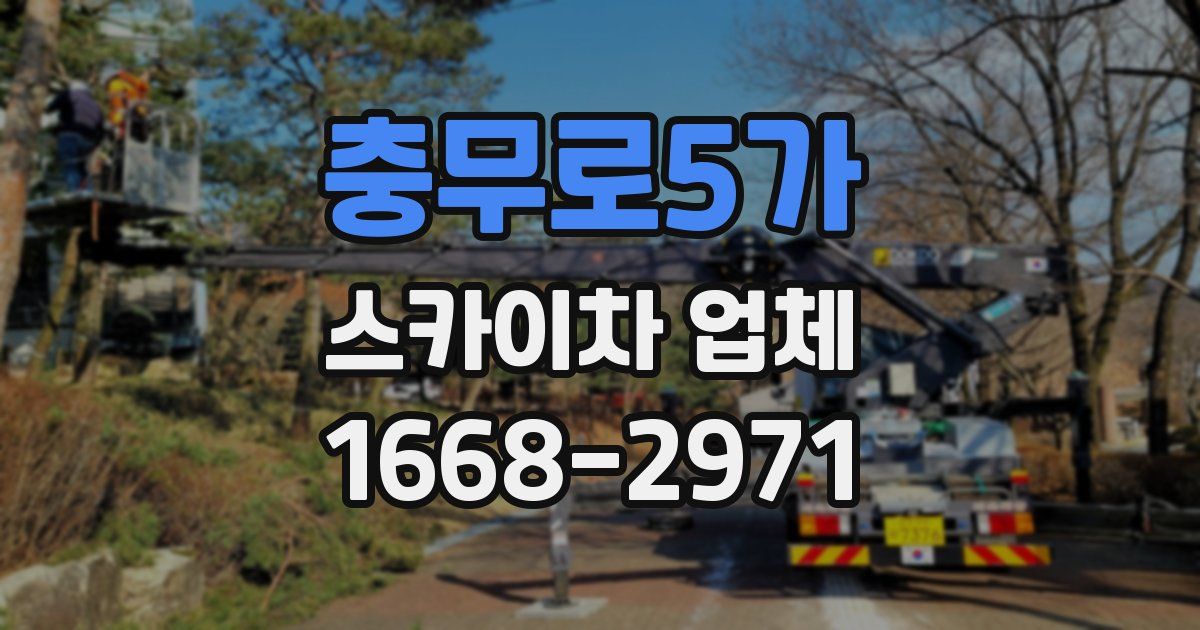 충무로5가 스카이차 업체