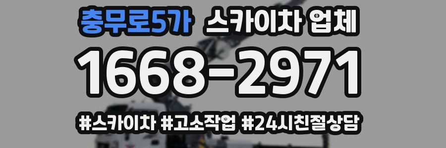 충무로5가 스카이차 업체