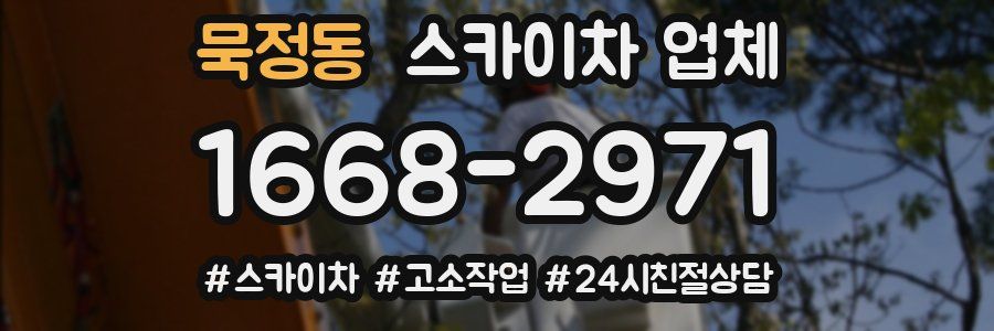 묵정동 스카이차 업체