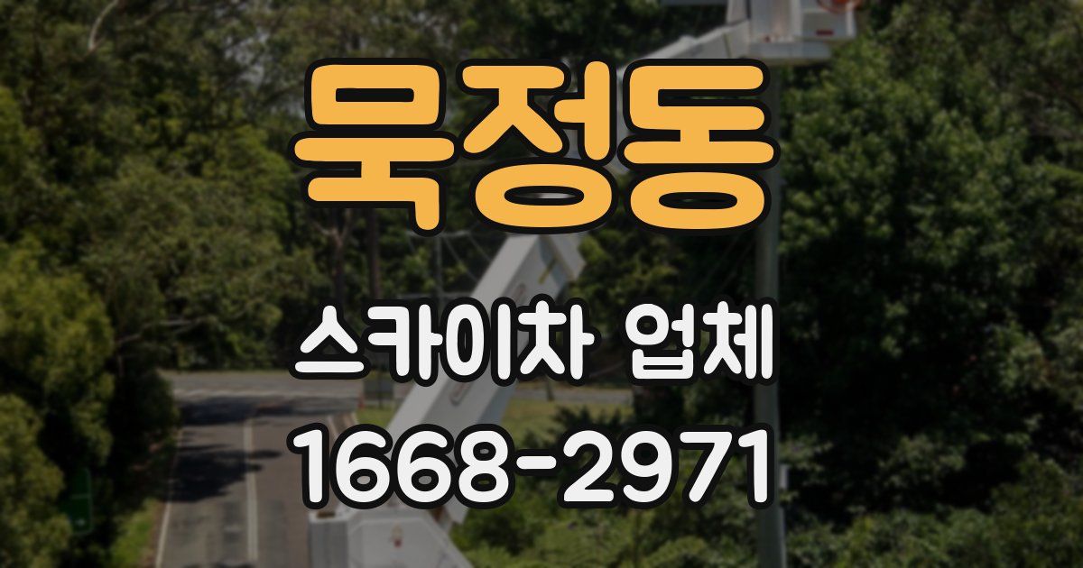 묵정동 스카이차 업체