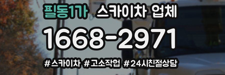 필동1가 스카이차 업체