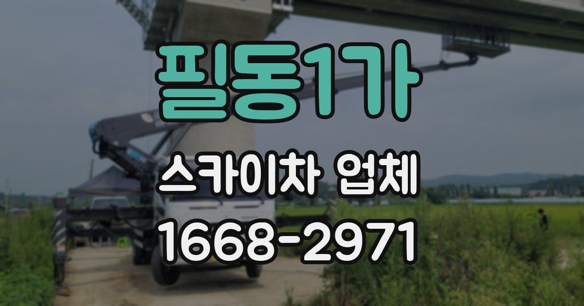 필동1가 스카이차 업체