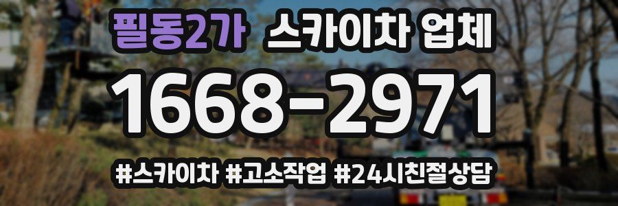필동2가 스카이차 업체