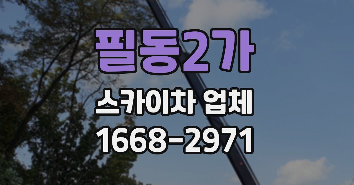 필동2가 스카이차 업체