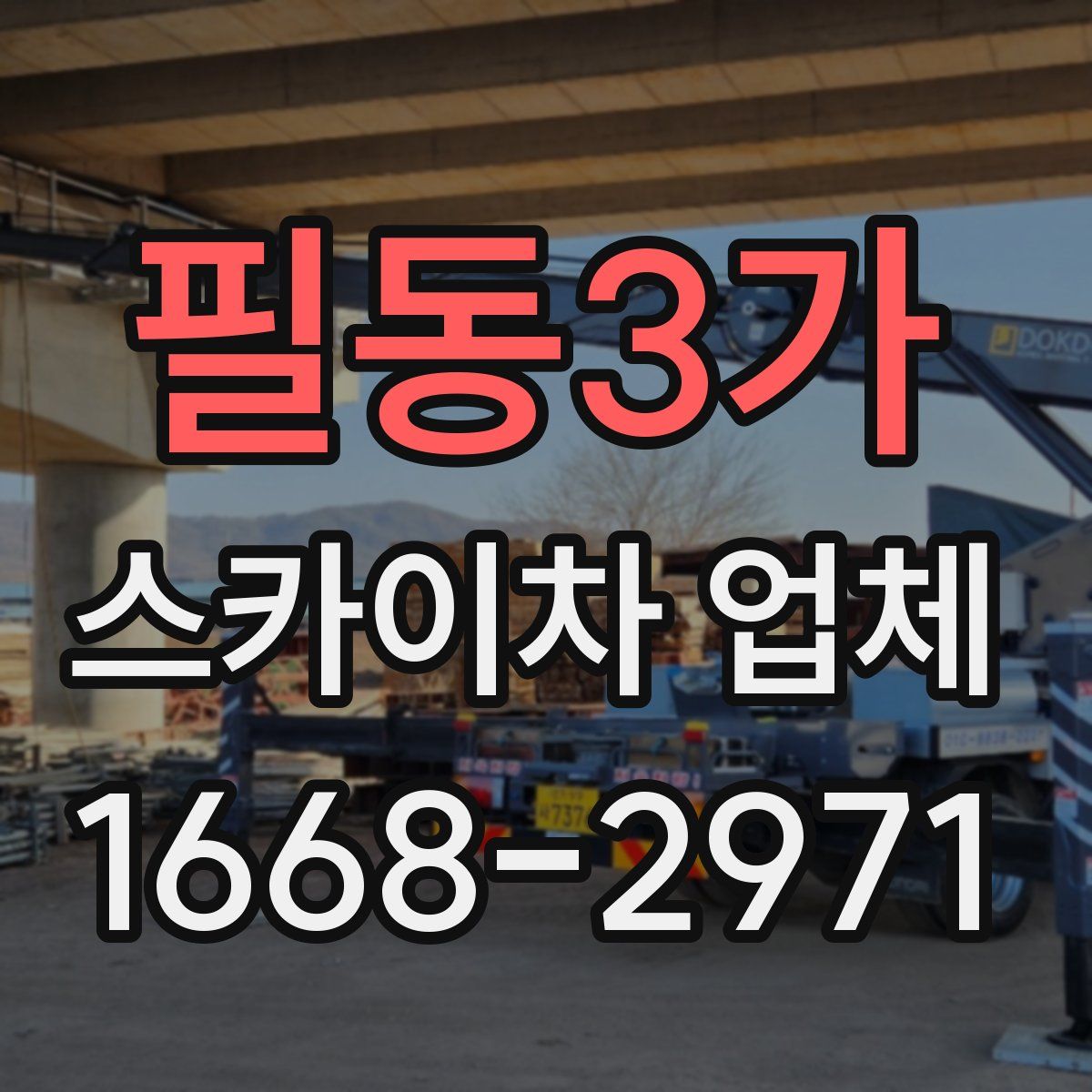 필동3가 스카이차 업체