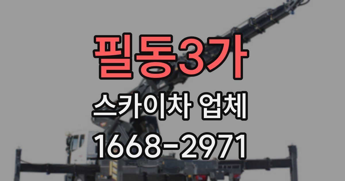 필동3가 스카이차 업체