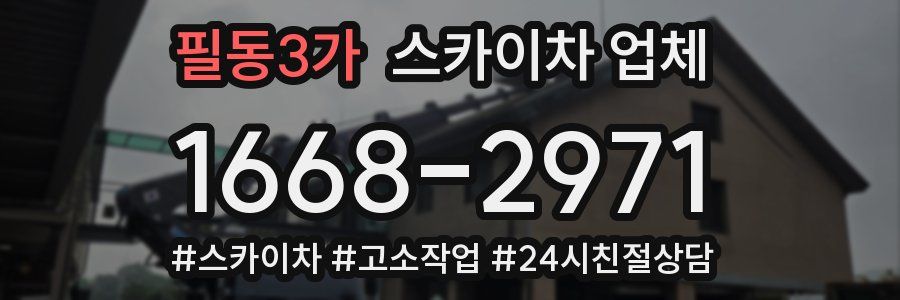 필동3가 스카이차 업체