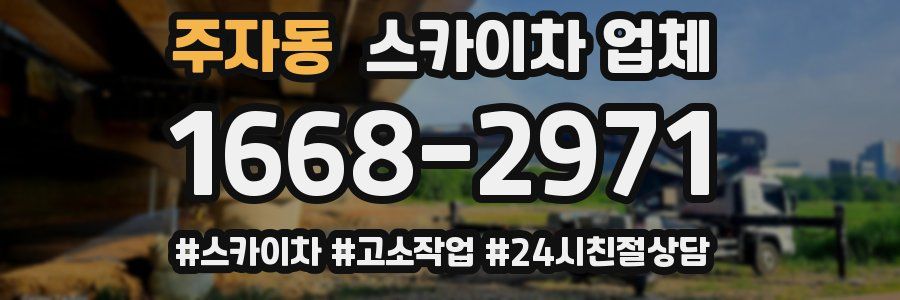 주자동 스카이차 업체