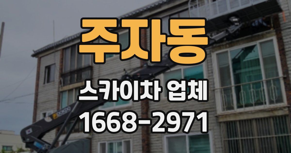 주자동 스카이차 업체
